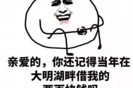 齐齐哈尔企业清欠服务